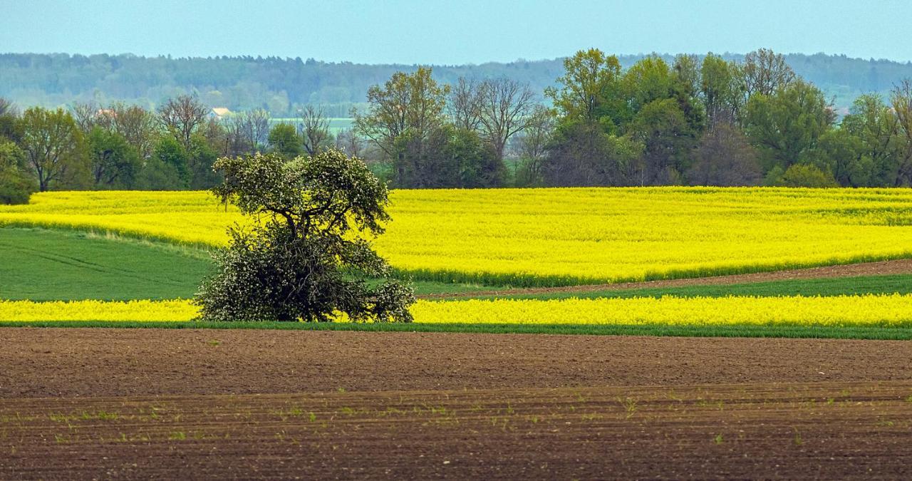 Cztery Luksusowe Domy Na Mazurach, Jezioro Juksty - Sakurarest Sniadowo  Eksteriør billede